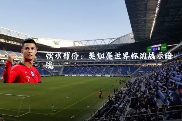 饮水暂停：美加墨世界杯的战术暗流