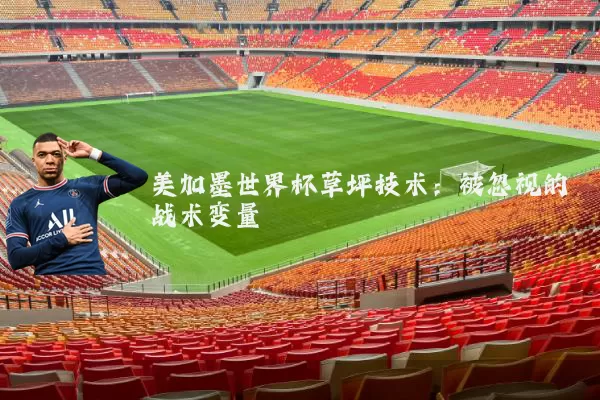 美加墨世界杯草坪技术：被忽视的战术变量