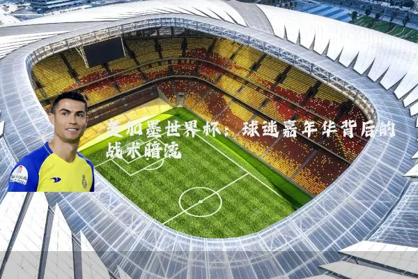 美加墨世界杯：球迷嘉年华背后的战术暗流